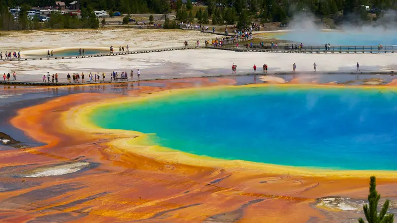 Visitatori nel parco di Yellowstone, Usa