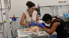 Lo speciale manichino che aiuta a prepararsi ad affrontare le emergenze