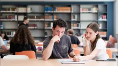 L’Italia segna il passo nella valorizzazione delle competenze