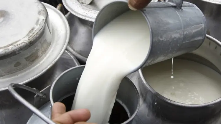 La produzione eccedente sarà oggetto di trattativa © www.giornaledibrescia.it