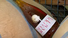 La bottiglia della Distilleria Peroni Maddalena