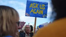 Una manifestazione contro la Brexit, successiva al referendum: «Chiedetecelo di nuovo»