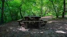 Area picnic in Val Bertone