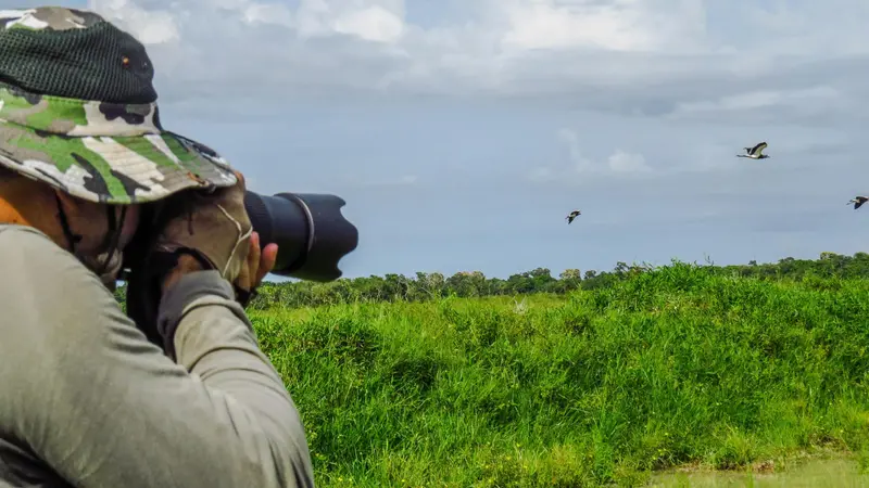 Una sessione di birdwatching