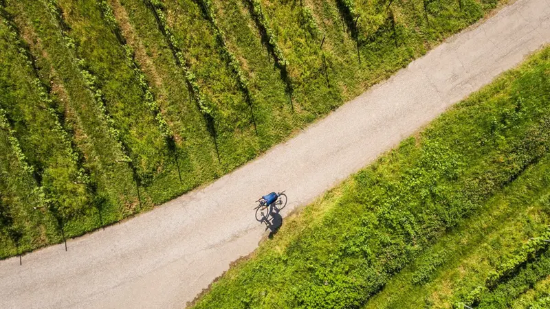 In bicicletta tra le vigne della Franciacorta © www.giornaledibrescia.it