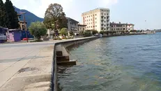 A Iseo è sufficiente passeggiare sul lungolago per percepire l'emergenza