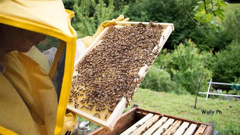 «ApiAmo il futuro» è il progetto del Gruppo Donne di Confapi Brescia