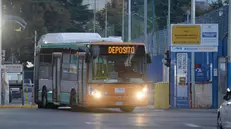Un autobus di Brescia Trasporti - © www.giornaledibrescia.it