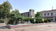 La fontana trasformata in aiuola