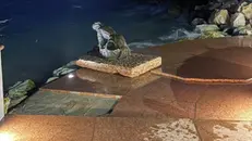 I danni sul lungolago di Desenzano