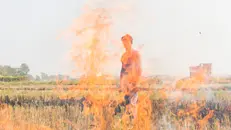 Un ragazzo in un campo che brucia (A boy in a burning field)
