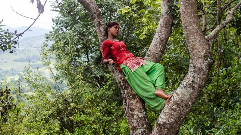 Un'immagine da «Our Songs from the Forest»