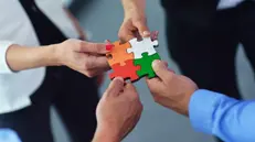 Del Terzo settore fanno parte enti non profit che svolgono attività di utilità sociale