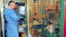 Il prof. Alberto Ugazio in reparto