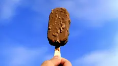 Il gelato su stecco si è rimpicciolito del 16,6% dal 2022