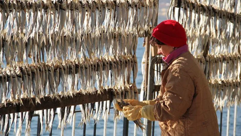 Sardine essiccate a Monte Isola © www.giornaledibrescia.it