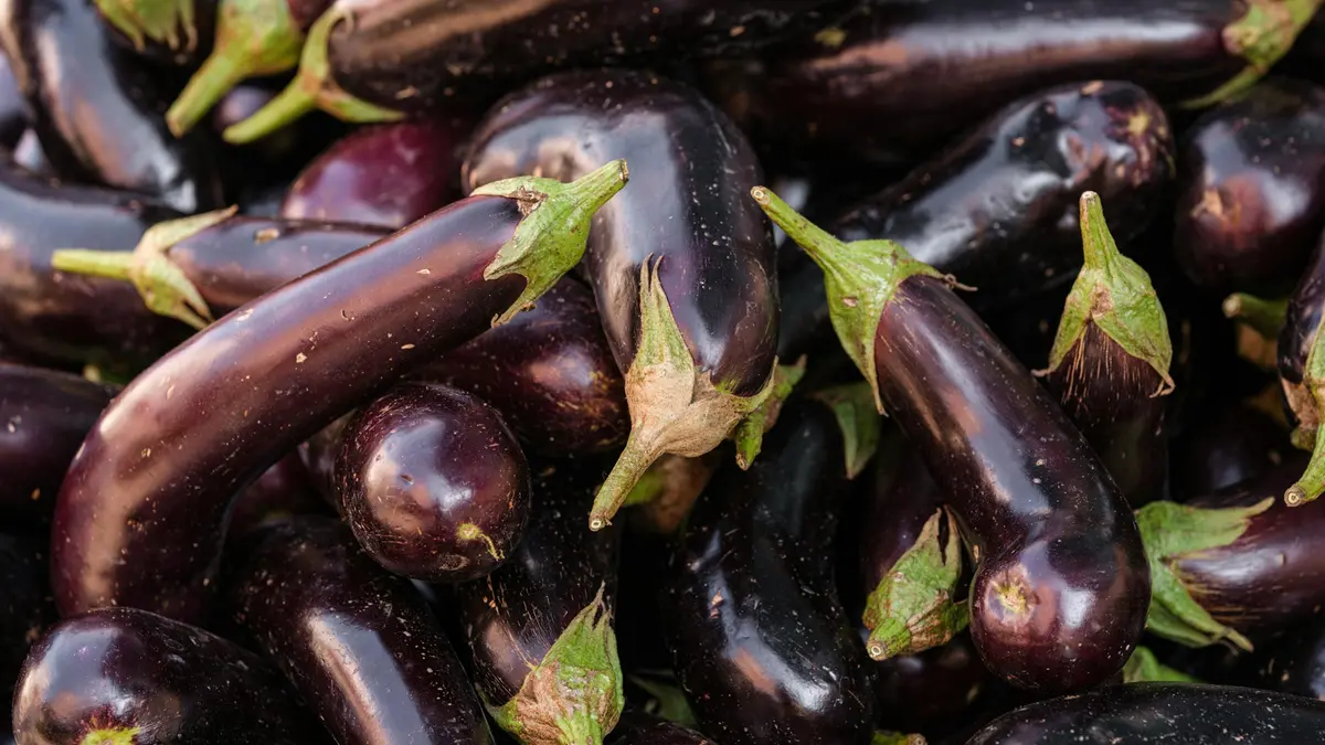 Melanzane
