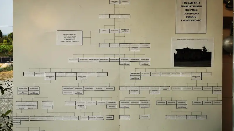 L'albero genealogico della famiglia