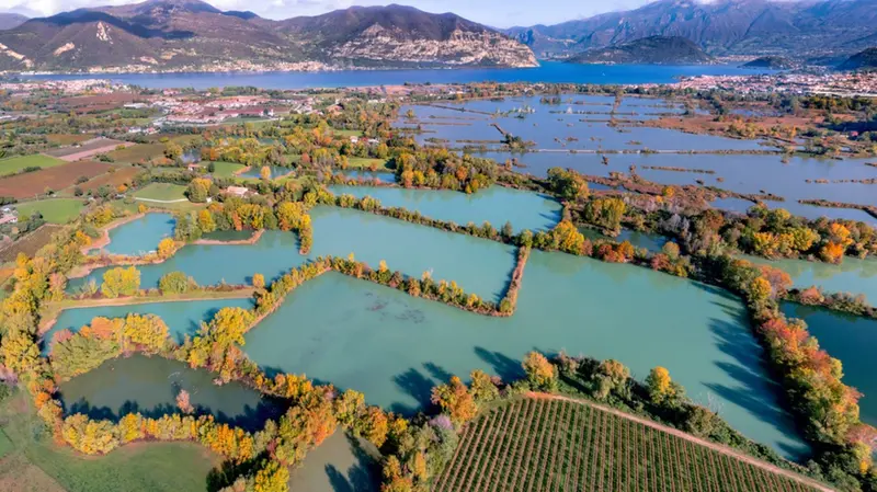 Le Torbiere del Sebino dall'alto