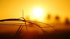 Sole caldo