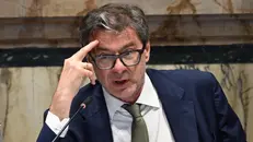Giancarlo Giorgetti