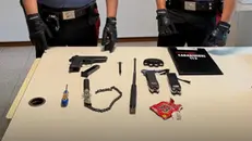 Le armi sequestrate dai carabinieri