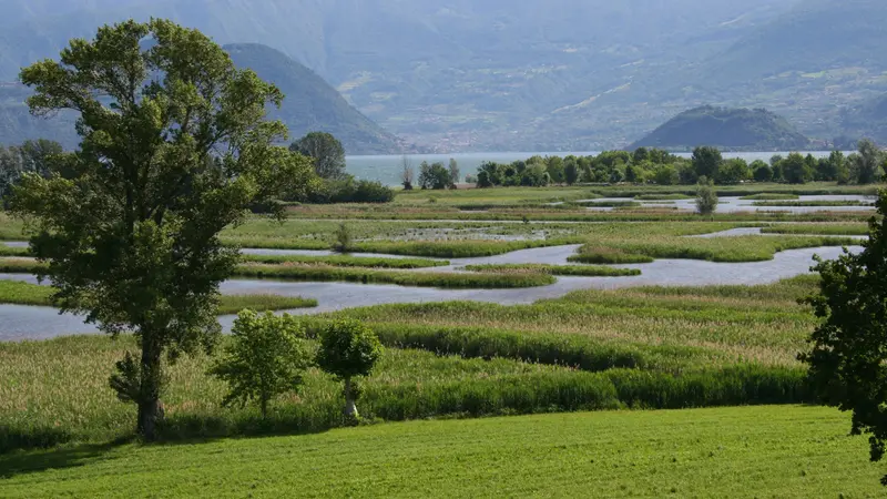 Le Torbiere del Sebino
