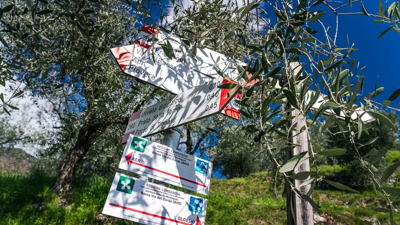 Molto apprezzati gli itinerari escursionistici