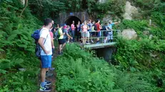 Tra le proposte spiccano le camminate rigeneranti nei boschi contro lo stress - © www.giornaledibrescia.it