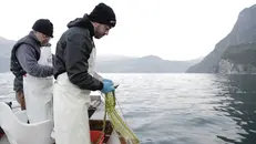I pescatori contestano le nuove regole per la pesca nel lago - © www.giornaledibrescia.it