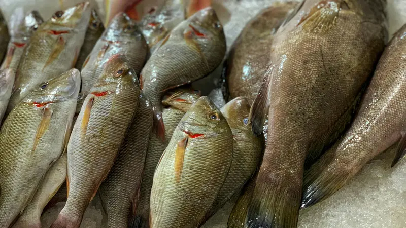 Del pesce