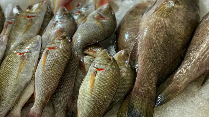 Del pesce