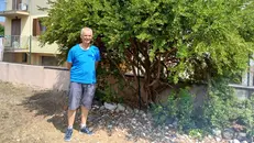 L'alpino Bettoni, musicista e poeta che regala mirto