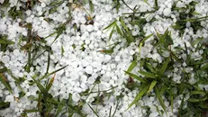 Chicchi di grandine (foto simbolica)