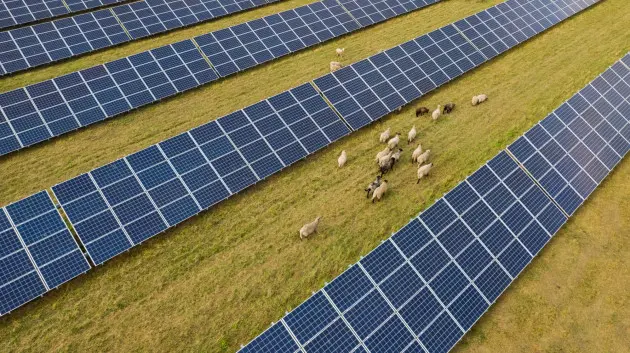 Un impianto agrivoltaico