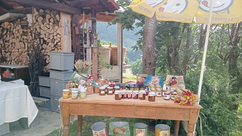 Miele, marmellate e altri prodotti in vendita nell'azienda agricola © www.giornaledibrescia.it