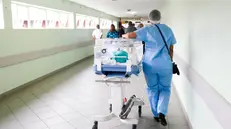 Un'infermiera in corsia
