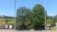 La collina davanti alle Porte Franche su cui potrebbe sorgere un albergo