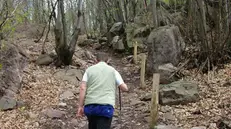 Tra i progetti anche il sentiero del Monticolo a Darfo