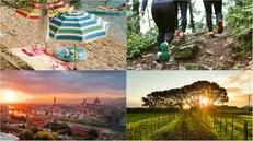 Mare, montagna, città d'arte o campagna: tu cosa scegli?