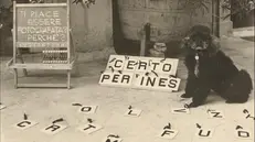 Una frase composta da Peg