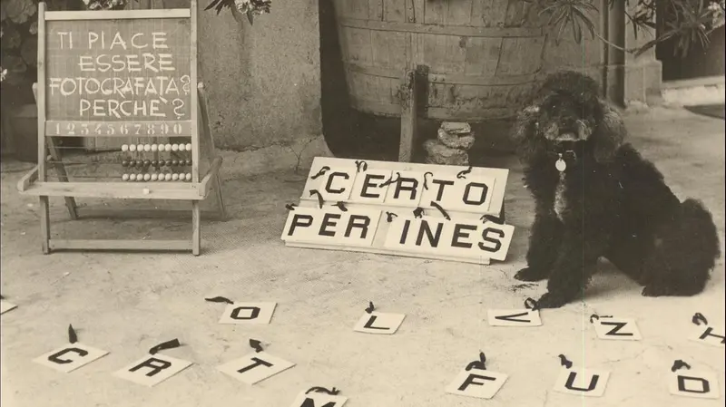 Una frase composta da Peg