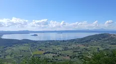 Il lago di Bolsena - Foto Wikipedia