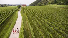 Mille le proposte estive
in Franciacorta