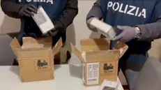 La droga sequestrata nel corso dell'operazione Icaro