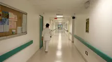Per la bambina sono state necessarie cure palliative pediatriche