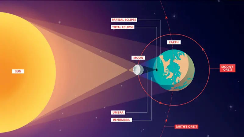 Funzionamento delle eclissi e il rapporto tra Sole, Terra e Luna