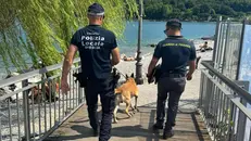 Un agente della Polizia locale e uno della Guardia di finanza
