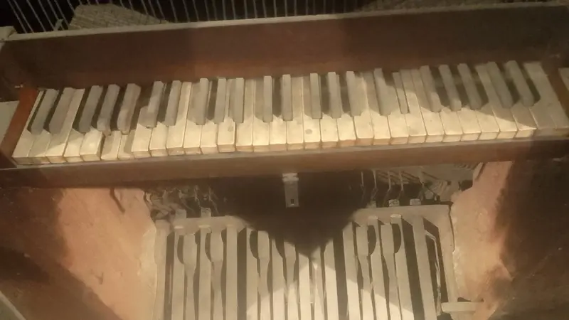 Le condizioni dell'organo