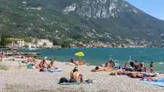 Le analisi, da inizio stagione, vengono ripetute due volte al mese